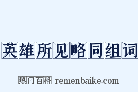 英雄所见略同组词是什么意思的图片